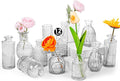 Glass Bud Vase Set of 12, Small Flower Vases by TCooSo