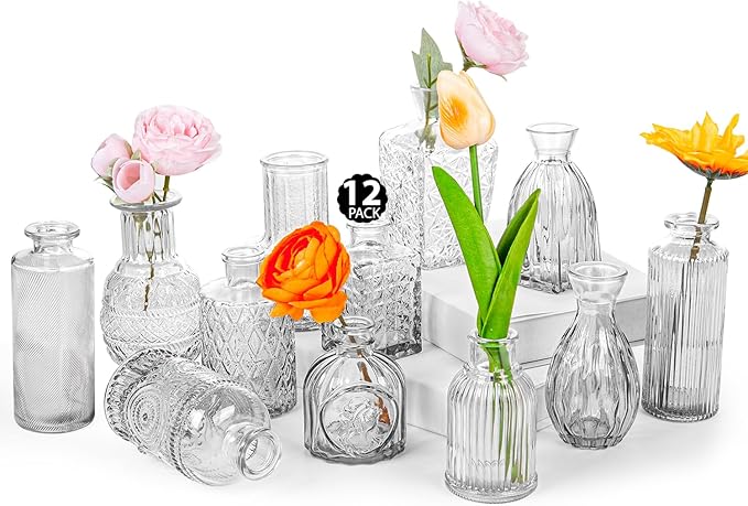Glass Bud Vase Set of 12, Small Flower Vases by TCooSo