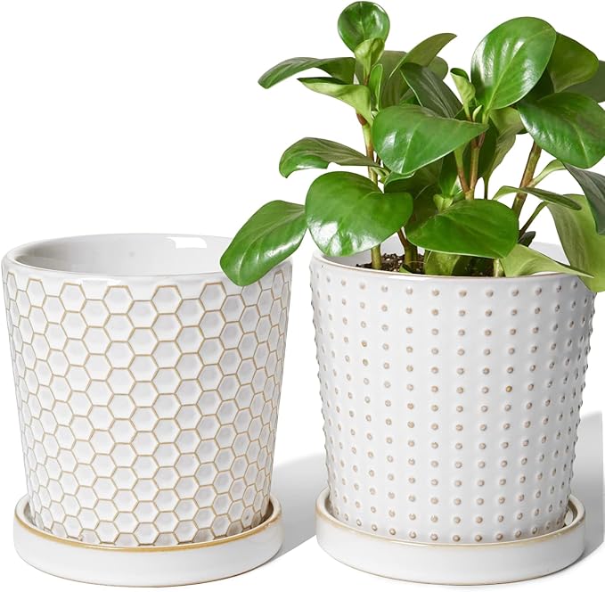 LE TAUCI Ceramic Plant Pots, 5.4 Inch Pots by LETAUCI