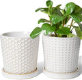 LE TAUCI Ceramic Plant Pots, 5.4 Inch Pots by LETAUCI