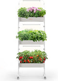 SUNCOZE 3-Tier Hydroponics Growing System Kit by SUNCOZE