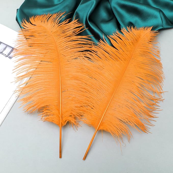 Ballinger Orange Large Ostrich Feathers - Image 4