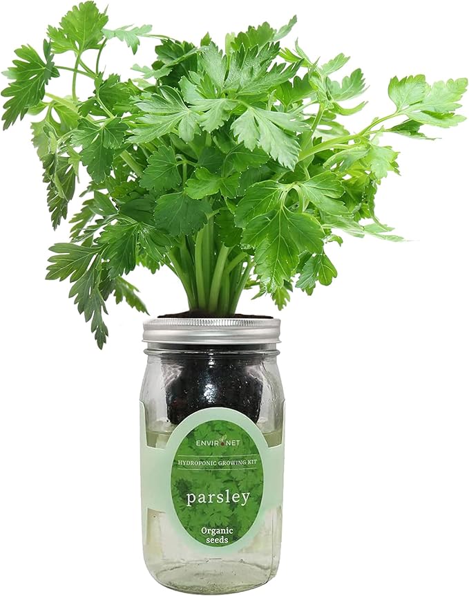 Hydroponic Herb Growing Kit, Self-Watering Mason Jar Herb Garden Starter Kit by Environet