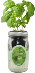 Hydroponic Growing Kit, Self-Watering Mason Jar Herb Garden Starter Kit Indoor by Environet
