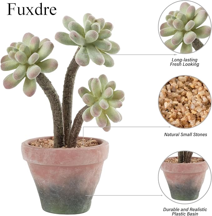 2-Pack Artificial Succulent Plants in Vintage Plastic Pots - Image 5