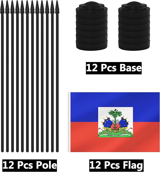 12 Pack Haiti Desk Flags, Haitian Desktop Flag, Small Miniature Office Flags - Image 3