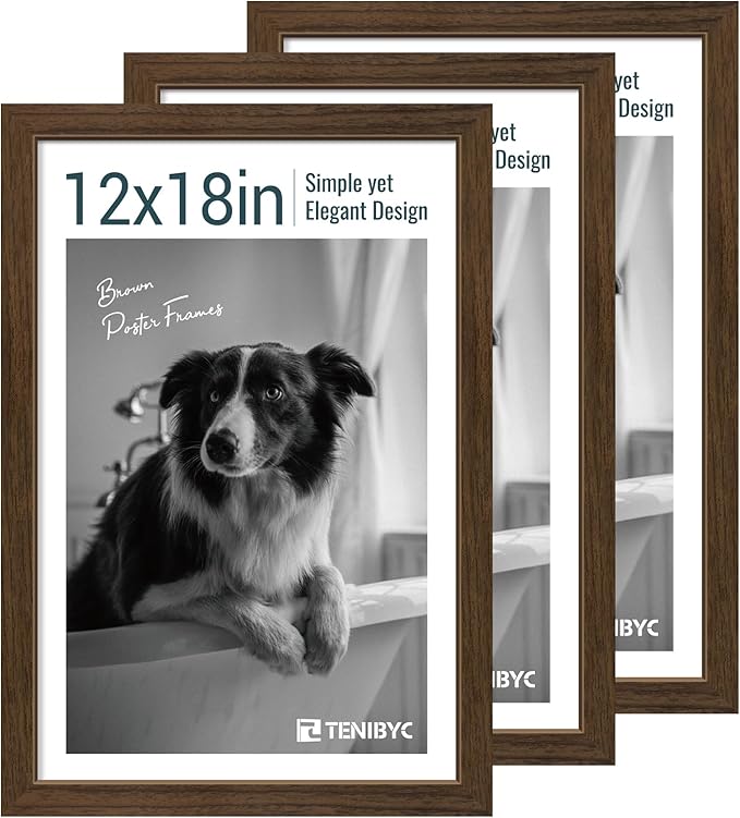 12x18 Poster Frame 3 Pack by TENiBYC
