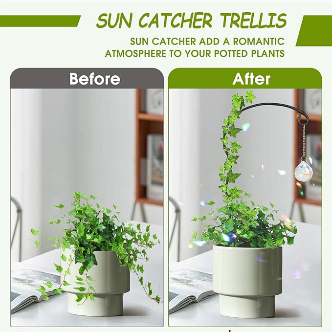 Plant Trellis for Potted Plants - Image 5
