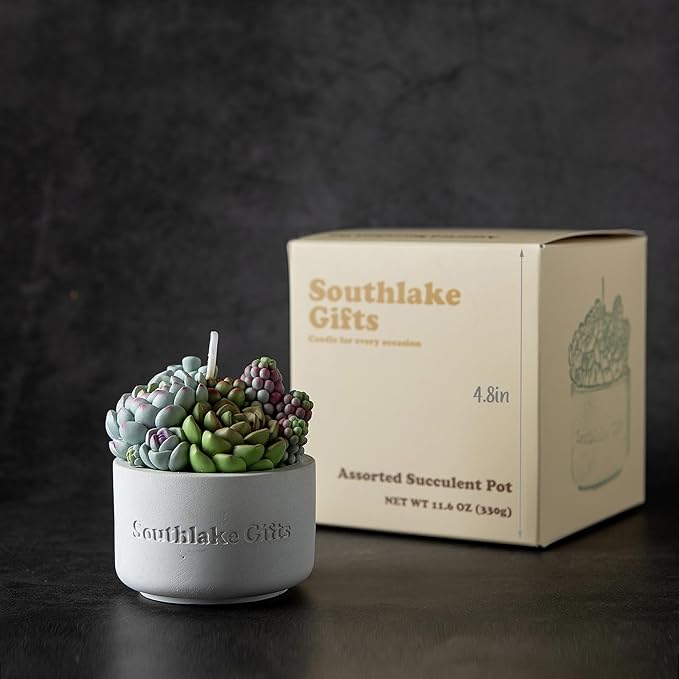 Assorted Succulent Pot Scented Candle - Image 2