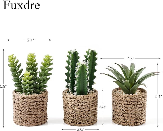 3-Pack Artificial Succulent Plants in Vintage Plastic Pots - Image 2