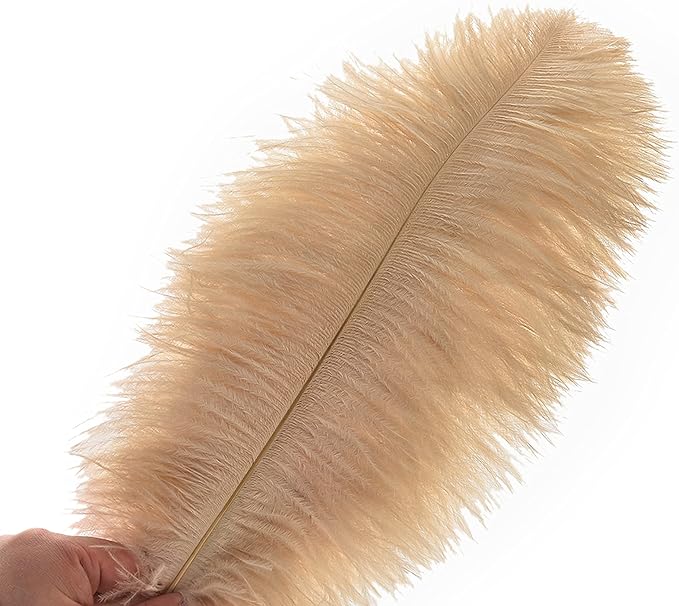 Ballinger Champagne Ostrich Feathers Bulk - Image 2