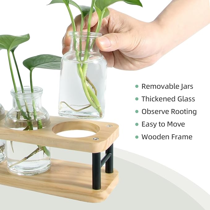 THYGIFTREE Plant Propagation Station - Image 4