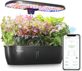 LETPOT LPH-Lite Hydroponics Growing System, 12 Pods Smart Herb Garden Kit Indoor by LetPot