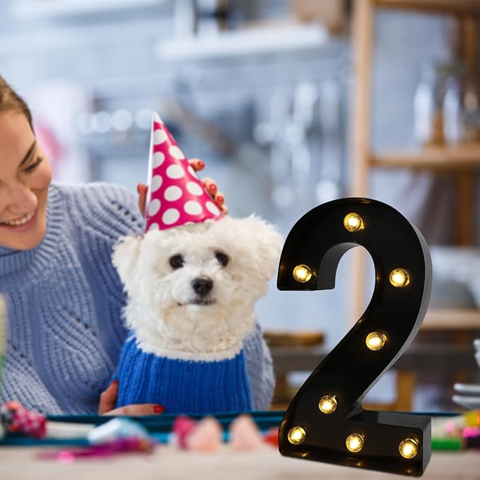LED Marquee Numbers, 8.58 Inch Led Light Up Numbers - Image 5