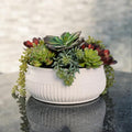 Round Faux Succulent Arrangement, Display on Any Surface in Your Home Adding an by CGHunter