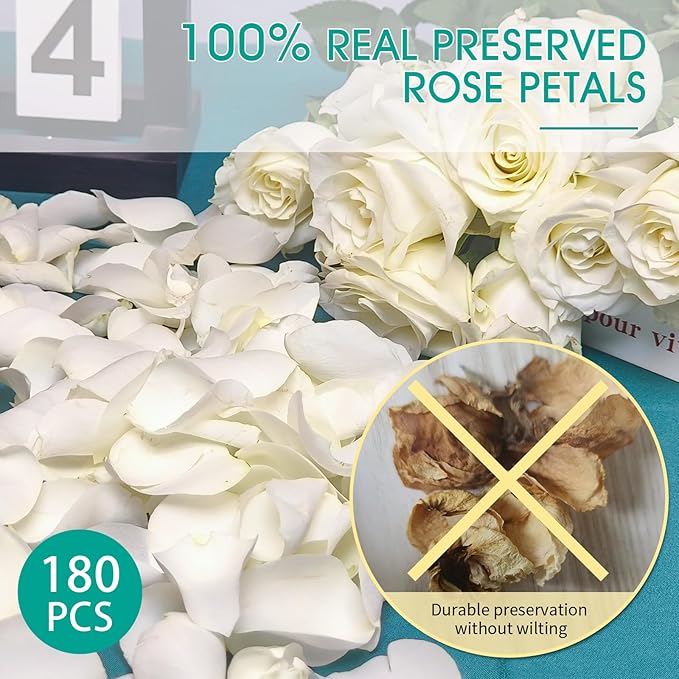 Dried Real White Rose Petals, Freeze Preserved Flower Petals 1.75oz - Image 2