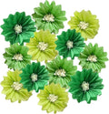 12pcs Paper Flowers 10in 12in Tissue Pom Poms by Yangeey