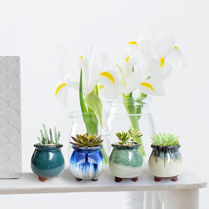 3 inch Glaze Handcraft Ceramic Pot Set, Small Cactus Planter - Image 6