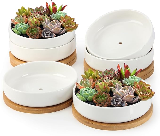 ZOUTOG Succulent Pots, 6 Inch Succulent Planters by ZOUTOG