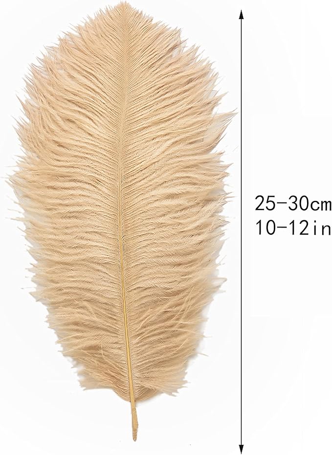Ballinger Champagne Ostrich Feathers Bulk - Image 3