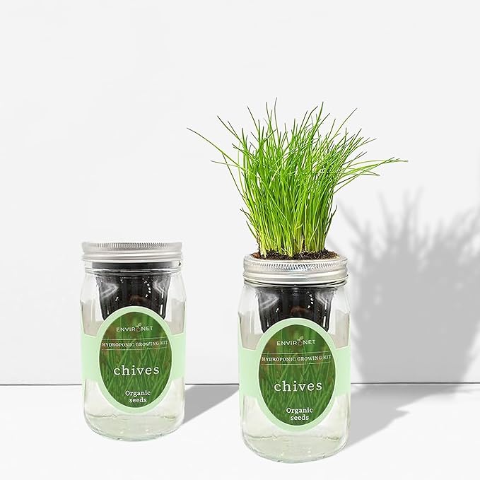 Hydroponic Herb Growing Kit, Self-Watering Mason Jar Herb Garden Starter Kit - Image 4