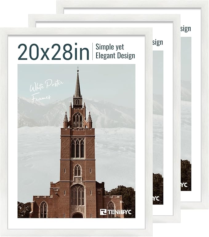 20x28 Picture Frame Set of 3 by TENiBYC