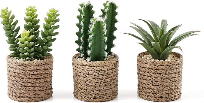 3-Pack Artificial Succulent Plants in Vintage Plastic Pots by Fuxdre