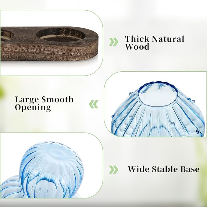 Glasseam Mushroom Plant Propagation Stations: Glass Terrarium Jars - Image 5