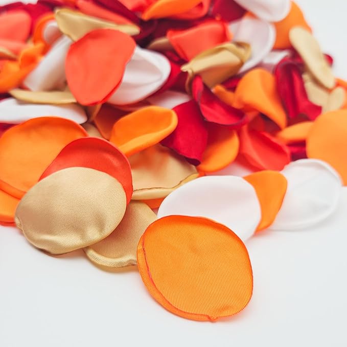 ZOOYOO 200Pcs Silk Rose Flower Petals by ZOOYOO