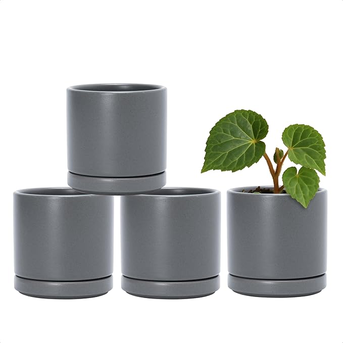 D'vine Dev Set of 4 Small Ceramic Plant Pots, 3.5 Inch Succulent Planter Pot by DvineDevPlanterPotsandStand