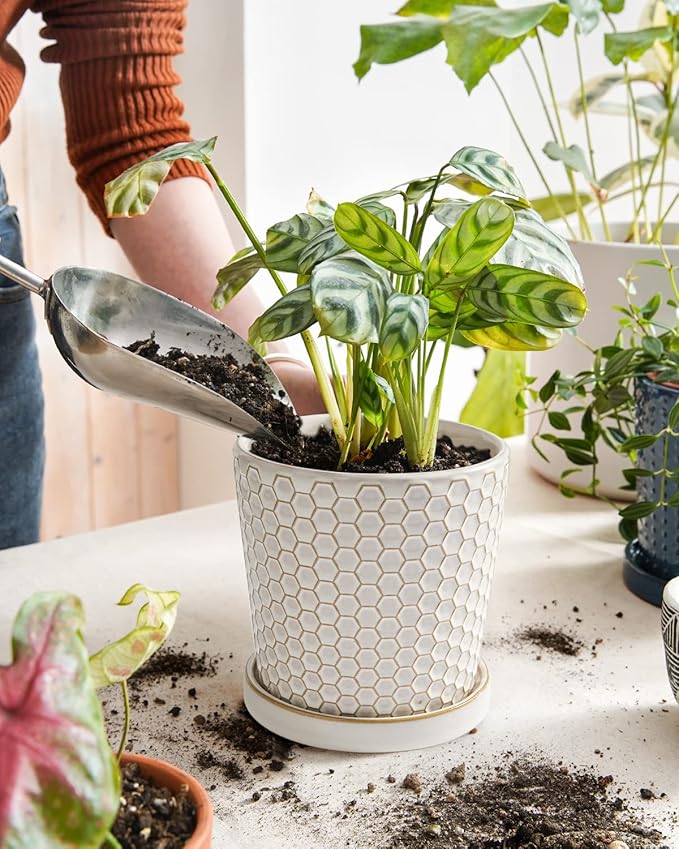 LE TAUCI Ceramic Plant Pots, 5.4 Inch Pots - Image 2