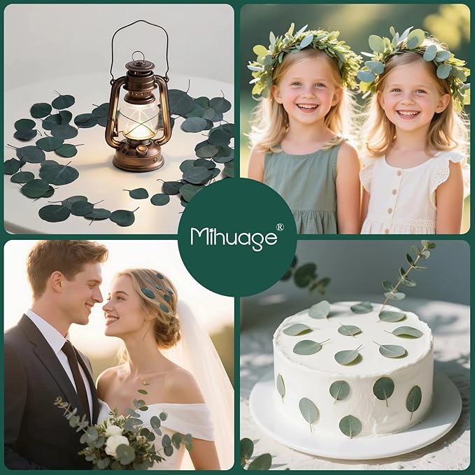 400+ Natural Dried Eucalyptus Leaves – Bulk Green Petals - Image 5
