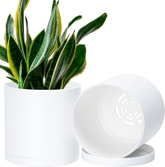 D'vine Dev 2 Pack 6.5 Inch Modern Plastic Plant Pots, Small Garden Planters by DvineDevPlanterPotsandStand