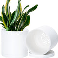 D'vine Dev 2 Pack 6.5 Inch Modern Plastic Plant Pots, Small Garden Planters by DvineDevPlanterPotsandStand