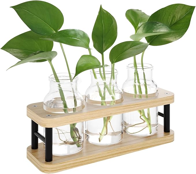 THYGIFTREE Plant Propagation Station - Image 3