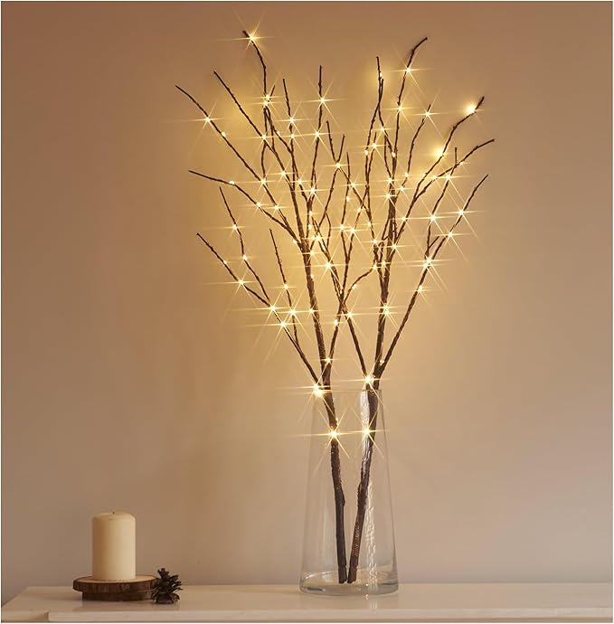 Hairui Lighted Brown Branches Battery Operated by Hairui