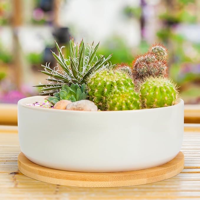 ZOUTOG Plant Pot 6 Inch, Ceramic Succulent Pots - Image 8