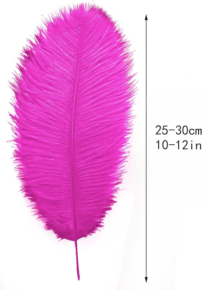 Ballinger Fuchsia Large Ostrich Feathers - Image 4