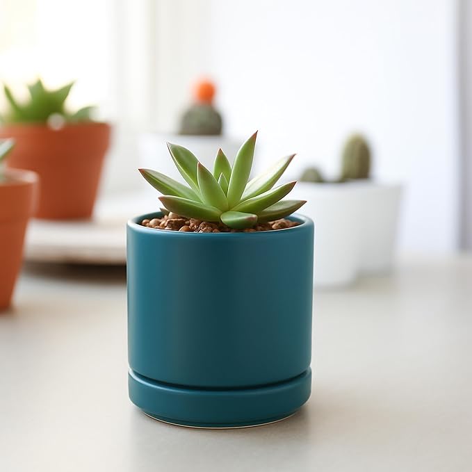 D'vine Dev Set of 4 Small Ceramic Plant Pots, 3.5 Inch Succulent Planter Pot - Image 5