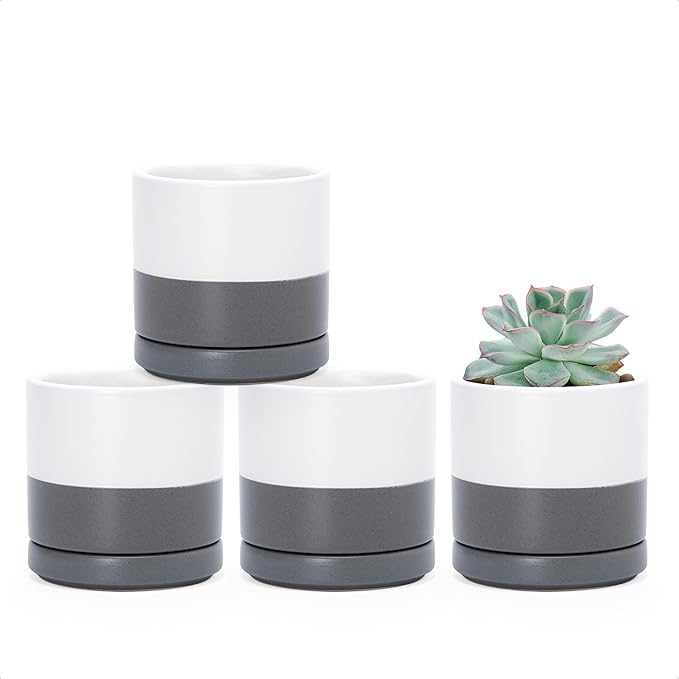 D'vine Dev Set of 4 Small Ceramic Plant Pots, 3.5 Inch Succulent Planter Pot by DvineDevPlanterPotsandStand
