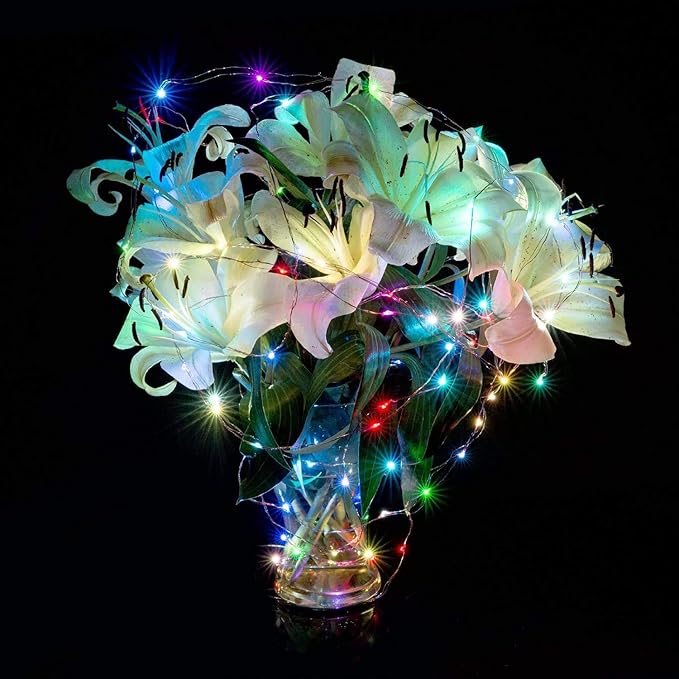 ZNYCYE 50 LED Fairy Lights - Image 8