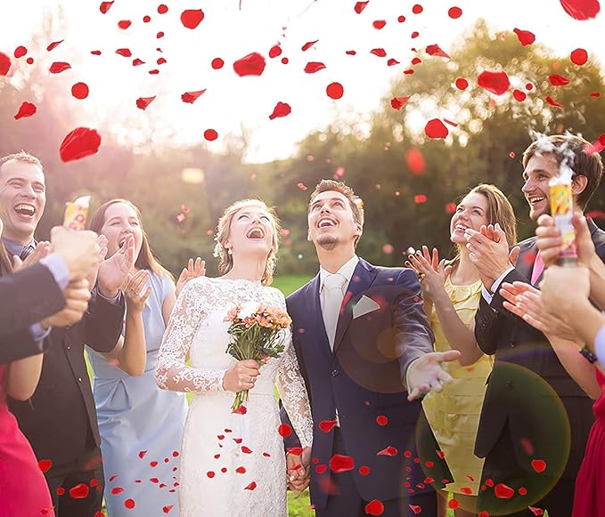 Ouddy Decor 3000 Pcs Rose Petals Artificial Flowers - Image 4