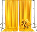 10ft x 10ft Gold Yellow Backdrop Curtains by Tisspoms