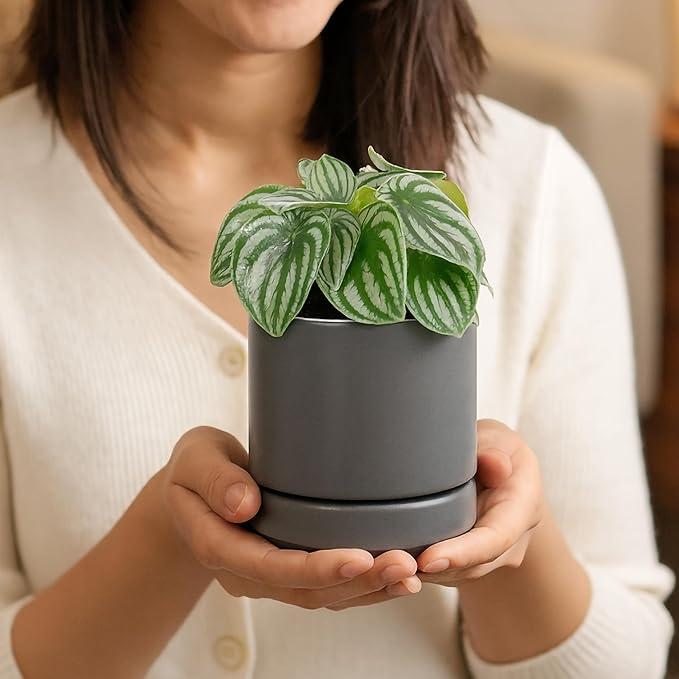 D'vine Dev Set of 4 Small Ceramic Plant Pots, 4.7 Inch Succulent Planter Pot - Image 2