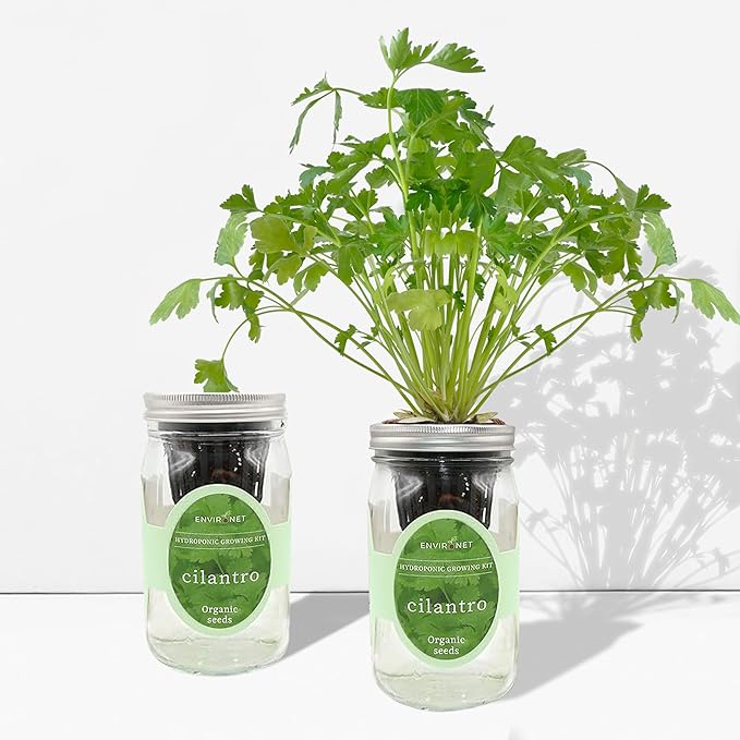 Hydroponic Herb Growing Kit, Self-Watering Mason Jar Window Herb Garden Starter - Image 4