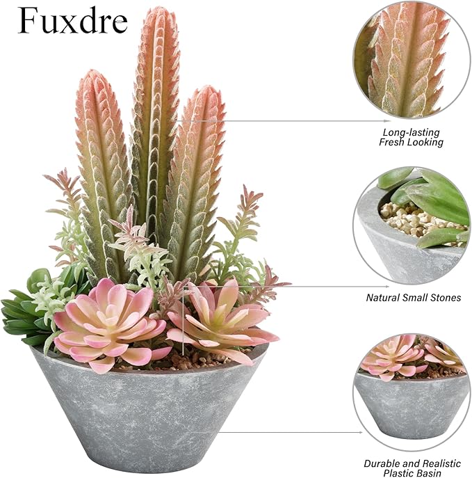 2-Pack Artificial Succulent Plants in Vintage Plastic Pots - Image 7