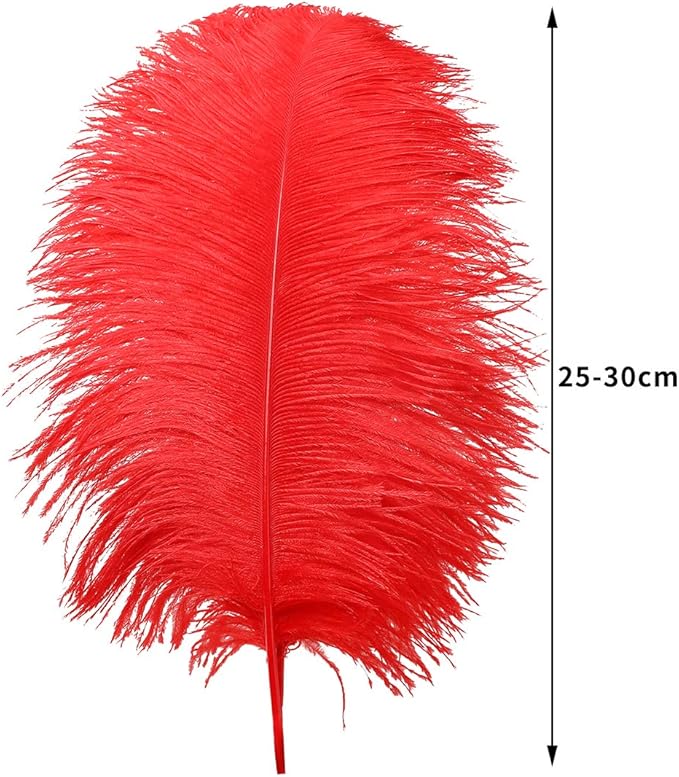 24pcs Natural Bright Red Ostrich Feathers 10-12inch - Image 3