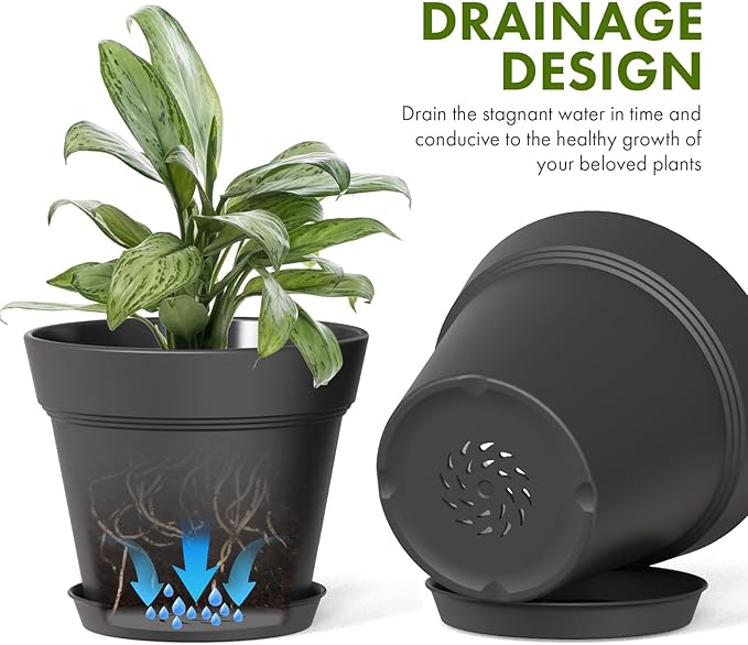 4 Inch Plastic Plant Pots with Drainage Holes and Trays – 8 Pack Small Nursery - Image 4