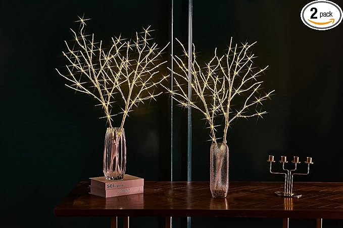 Fudios Lighted Branches with Timer Battery Operated 30IN Tall Birch Twig Lights by Fudios