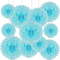 Tissue Paper Pom Poms, Light Blue Tissue Paper Flowers, Hanging Flower Balls by Tisspoms